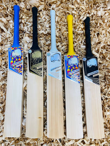 Warrior Junior Bat