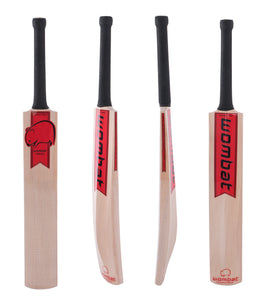 Warrior Junior Bat